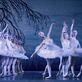 Royal Moscow Ballet zatančí v Ostravě Labutí jezero 